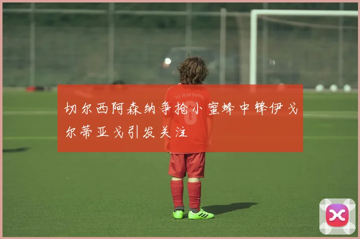 切尔西阿森纳争抢小蜜蜂中锋伊戈尔蒂亚戈引发关注