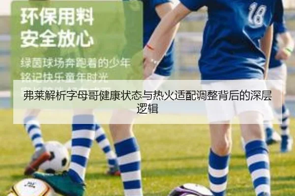 弗莱解析字母哥健康状态与热火适配调整背后的深层逻辑